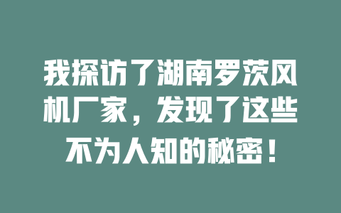 我探訪了湖南羅茨風機廠家,發現了這些不為人知的秘密! 一