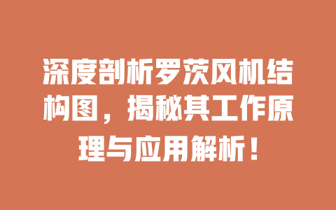 深度剖析羅茨風(fēng)機(jī)結(jié)構(gòu)圖,揭秘其工作原理與應(yīng)用解析! 一