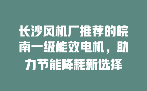 長沙風機廠推薦的皖南一級能效電機,助力節能降耗新選擇 一