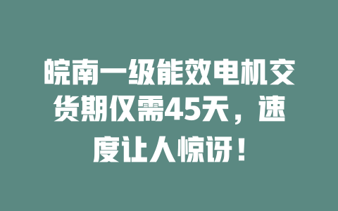 皖南一級能效電機交貨期僅需45天,速度讓人驚訝! 一