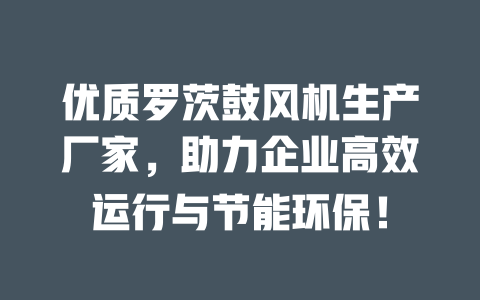優質羅茨鼓風機生產廠家，助力企業高效運行與節能環保！ 一